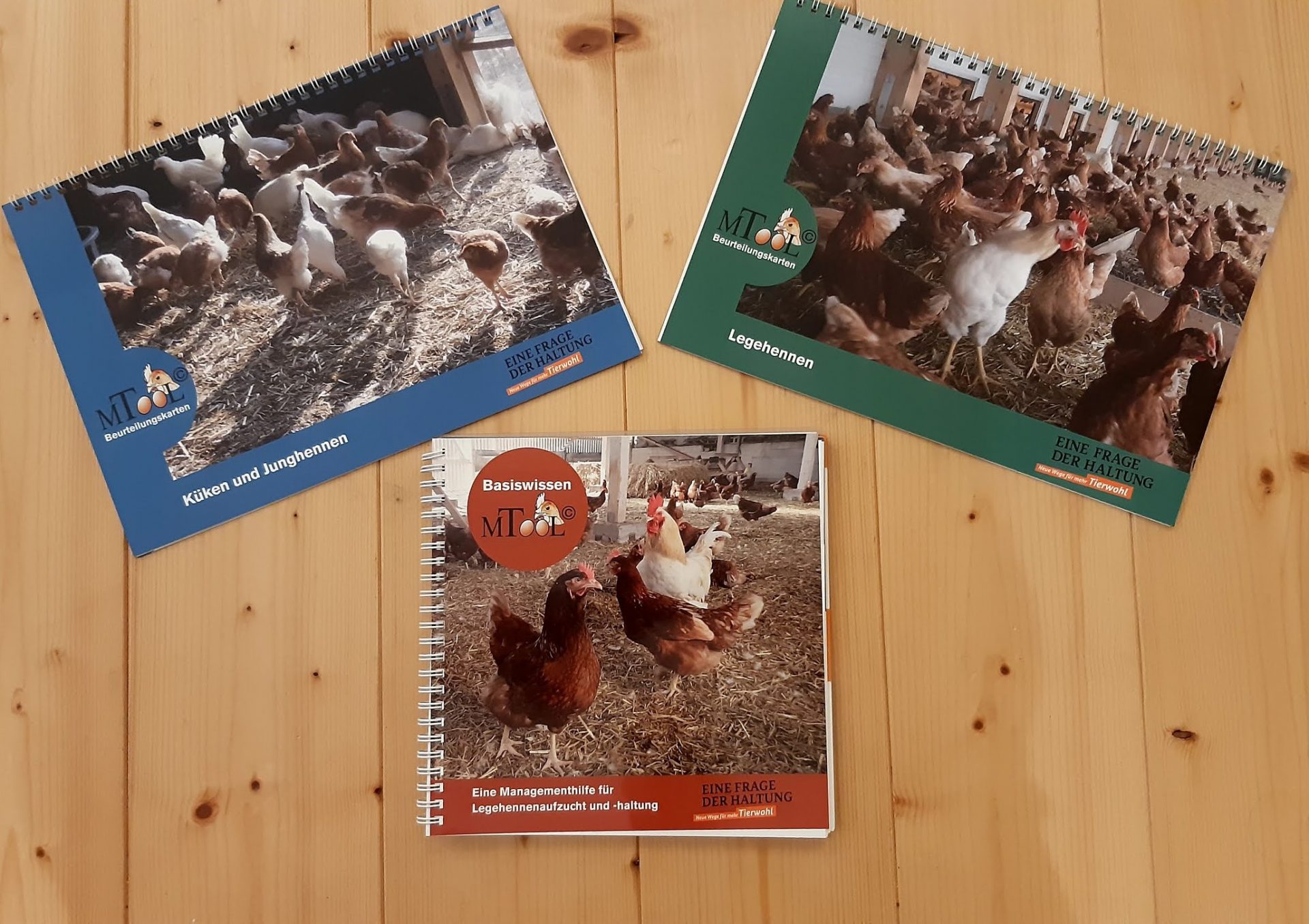 Infomaterial rund ums Huhn